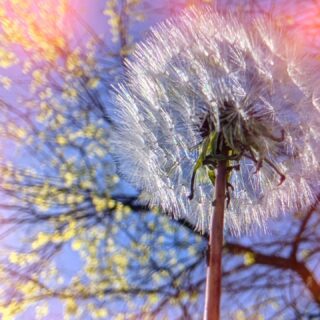 Spring is a refinement season 🌿

A time to shed what no longer serves—physically, mentally, energetically—and return to a more elevated state of being.

At Deeply Kneaded Massage, bodywork is not routine care—it’s a curated experience.

Each session is intentional, precise, and deeply attuned to the patterns your body has been holding. This is where chronic tension is unraveled, the nervous system recalibrates, and the body returns to effortless alignment.

For those who value quality, presence, and results—this is your reset.

Quiet luxury. Focused care. Noticeable difference.

Step into spring feeling refined, restored, and fully aligned.

#deeplykneadedmassage  #spring #wellness